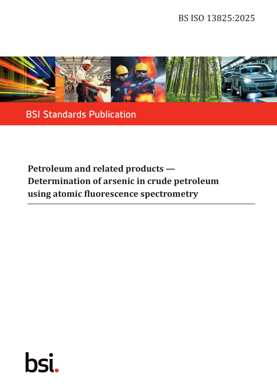 BSI BS ISO 13825:2025 PDF Preview